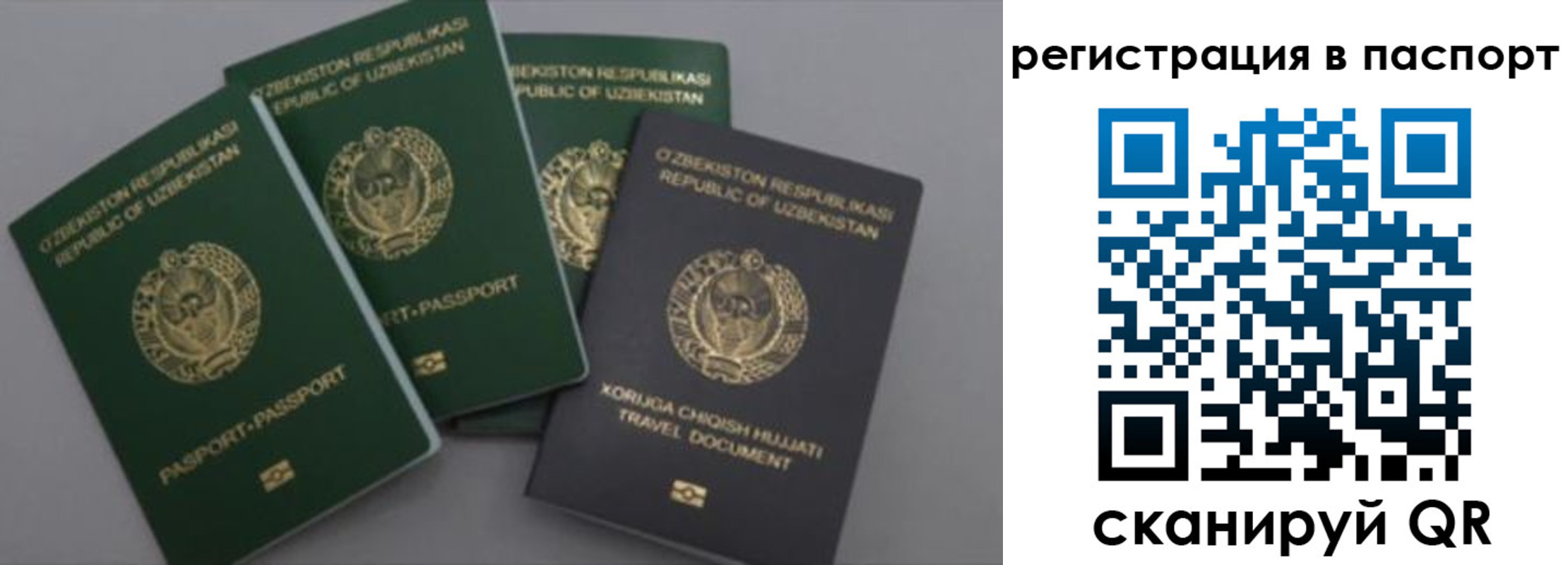 прописка от собственника в Магадане